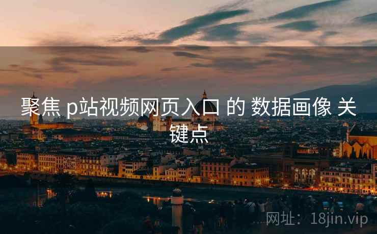 聚焦 p站视频网页入口 的 数据画像 关键点