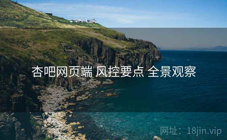 杏吧网页端 风控要点 全景观察