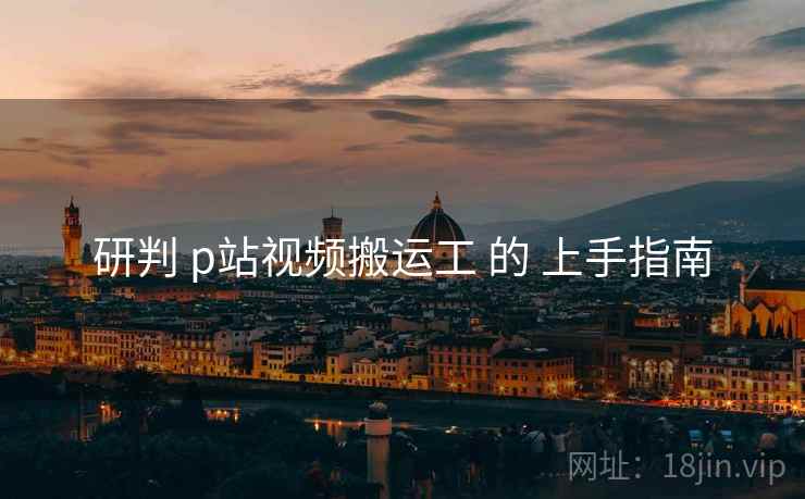 研判 p站视频搬运工 的 上手指南