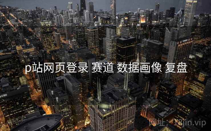 p站网页登录 赛道 数据画像 复盘