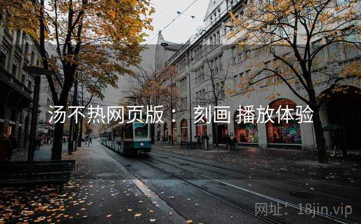 汤不热网页版 ： 刻画 播放体验