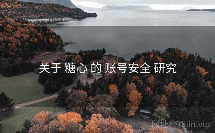 关于 糖心 的 账号安全 研究