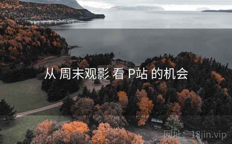 从 周末观影 看 P站 的机会