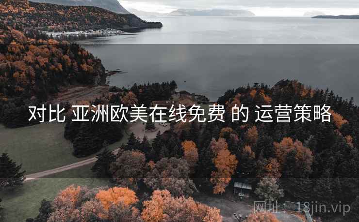 对比 亚洲欧美在线免费 的 运营策略