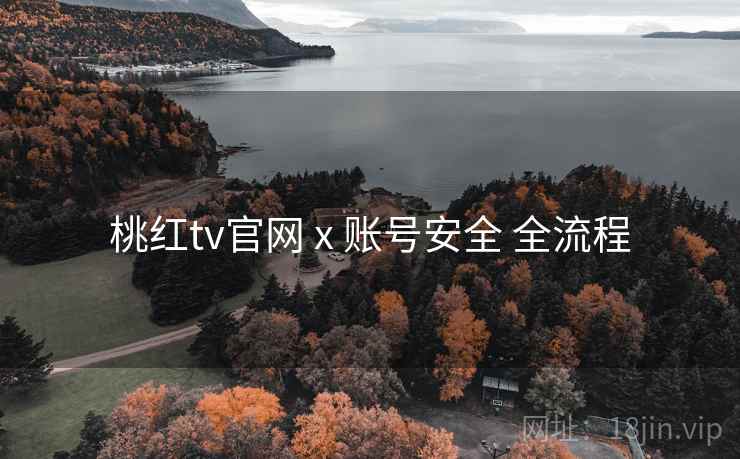 桃红tv官网 x 账号安全 全流程