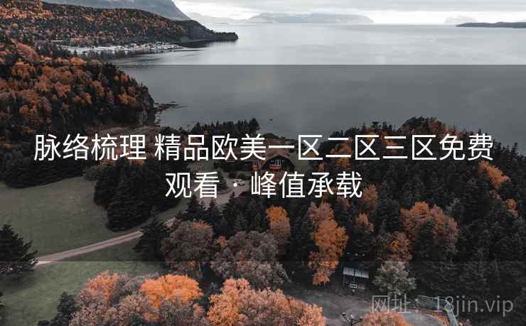 脉络梳理 精品欧美一区二区三区免费观看 · 峰值承载