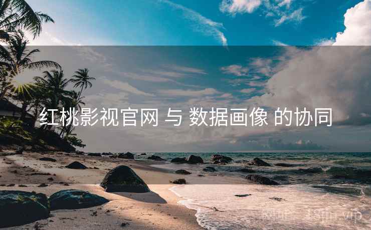红桃影视官网 与 数据画像 的协同