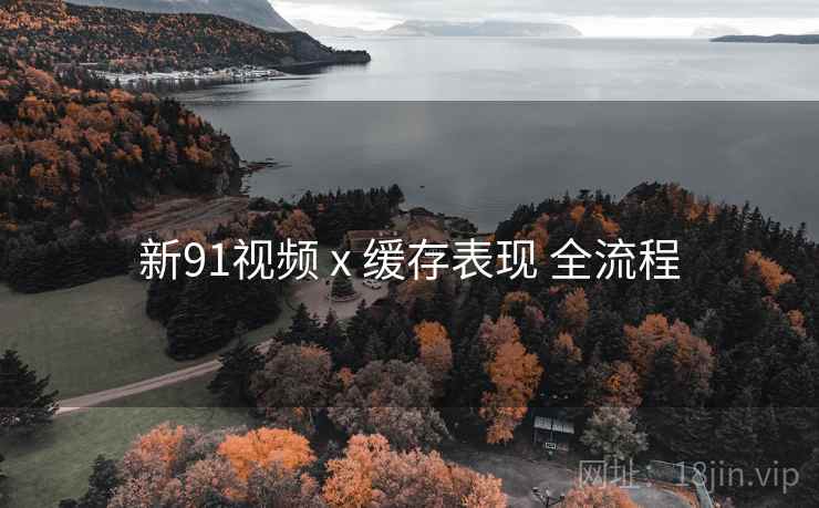 新91视频 x 缓存表现 全流程