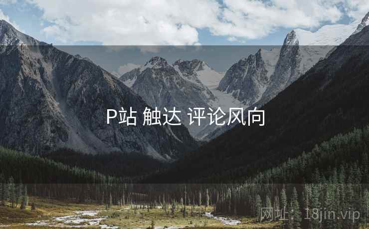 P站 触达 评论风向