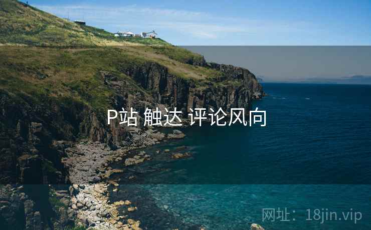 P站 触达 评论风向