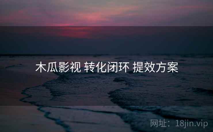 木瓜影视 转化闭环 提效方案