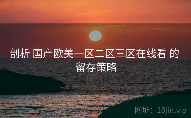 剖析 国产欧美一区二区三区在线看 的 留存策略