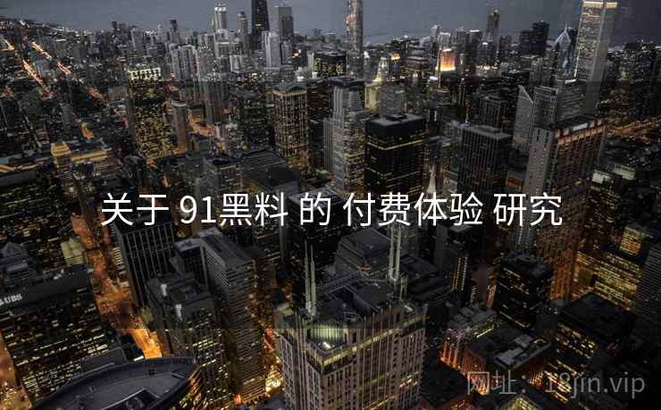 关于 91黑料 的 付费体验 研究