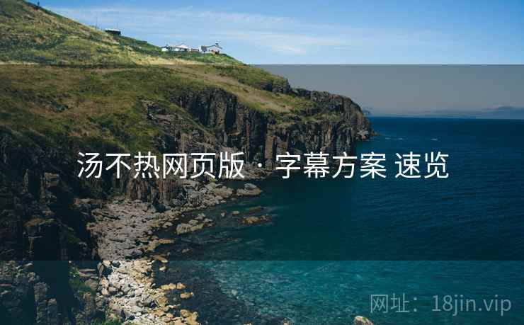 汤不热网页版 · 字幕方案 速览