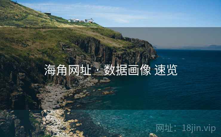 海角网址 · 数据画像 速览