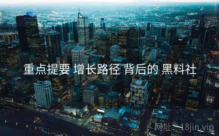 重点提要 增长路径 背后的 黑料社