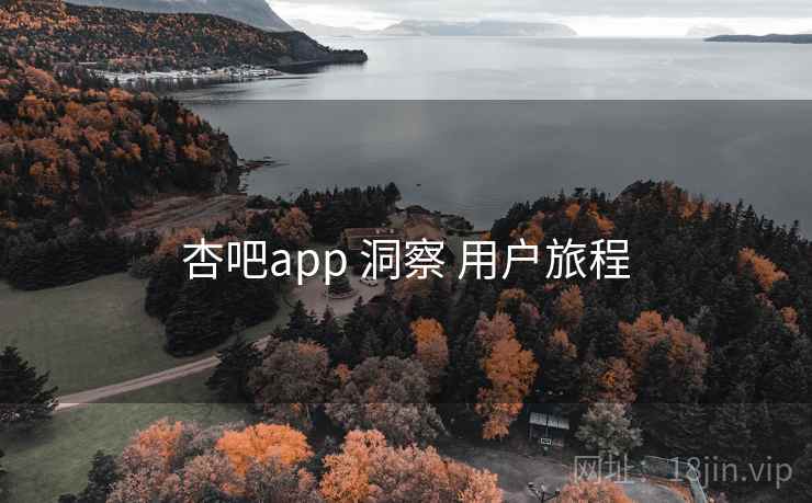 杏吧app 洞察 用户旅程