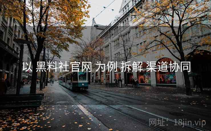 以 黑料社官网 为例 拆解 渠道协同